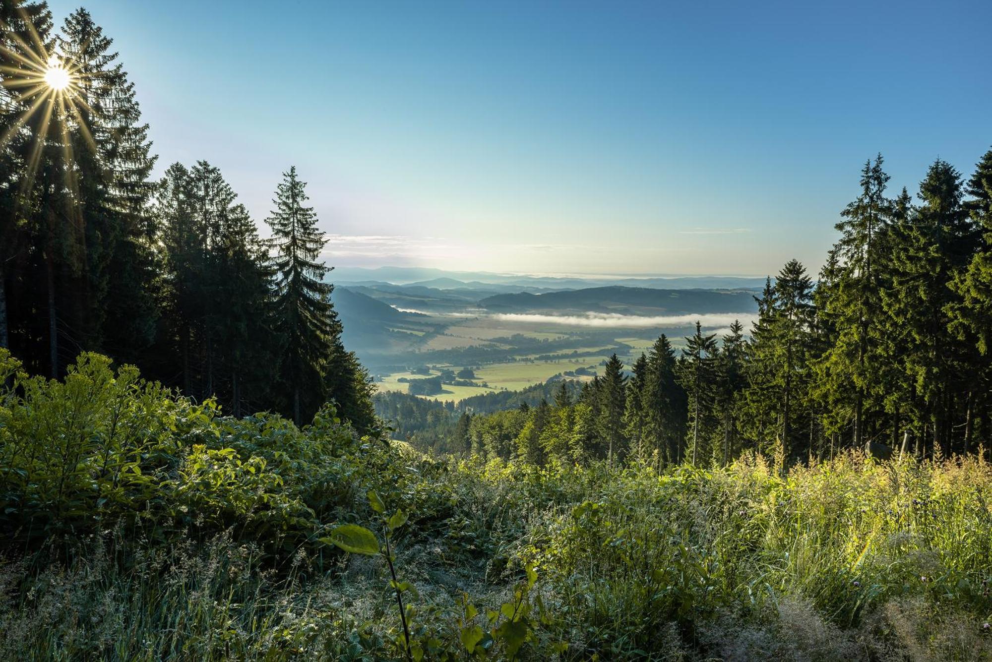 "Penzion Na Bukove Hore" - Apartmanovy Dum, Horsky Resort Bukova Hora Červená Voda Exteriör bild