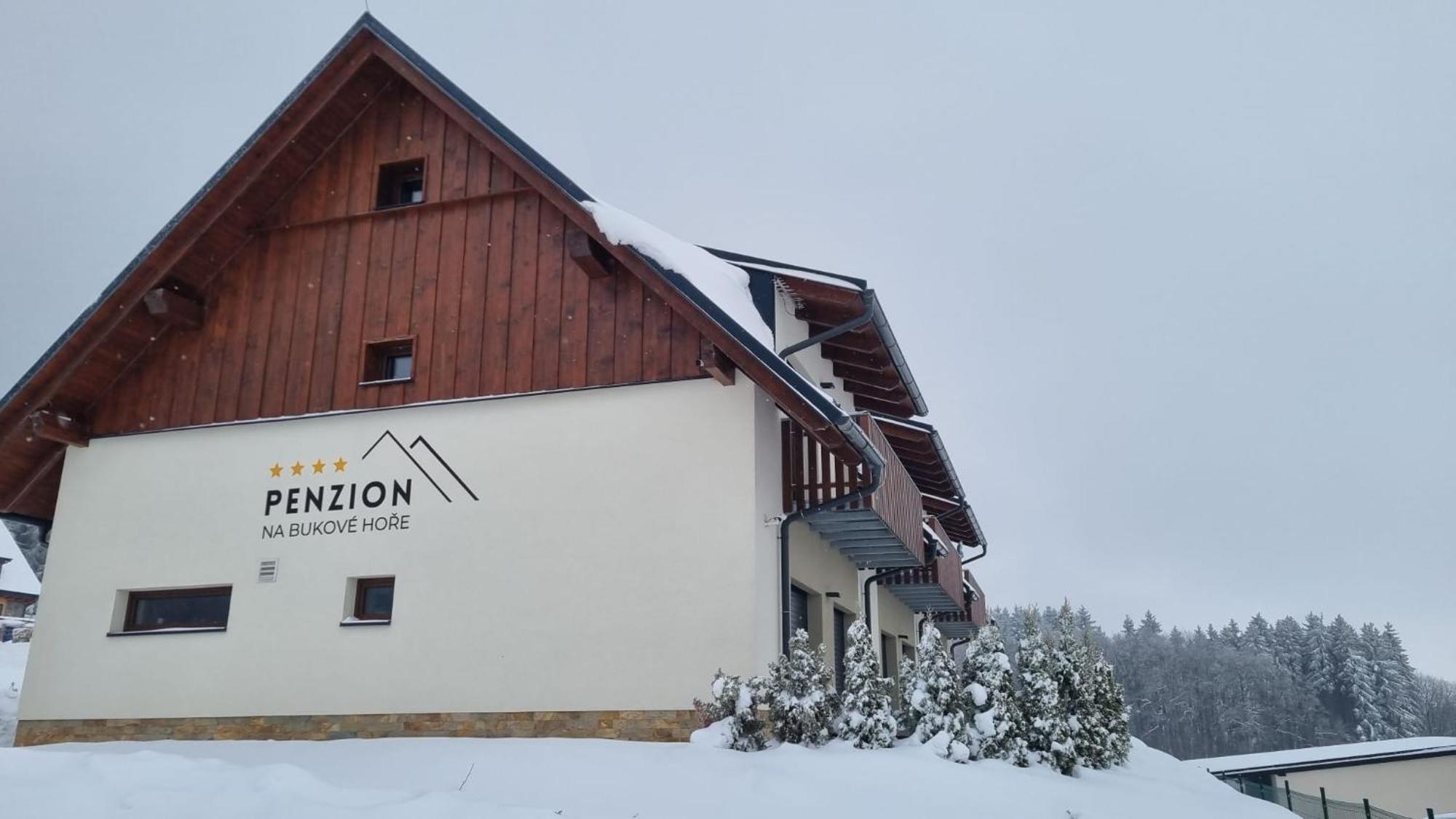 "Penzion Na Bukove Hore" - Apartmanovy Dum, Horsky Resort Bukova Hora Červená Voda Exteriör bild